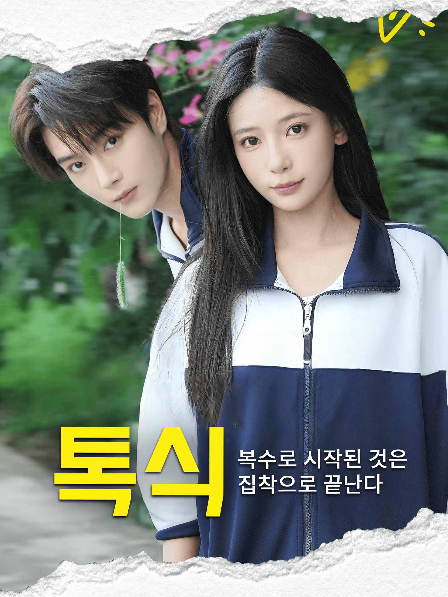 톡식!